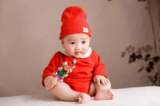 湘潭宝宝是从哪里来的 湘潭宝宝是从哪里来的